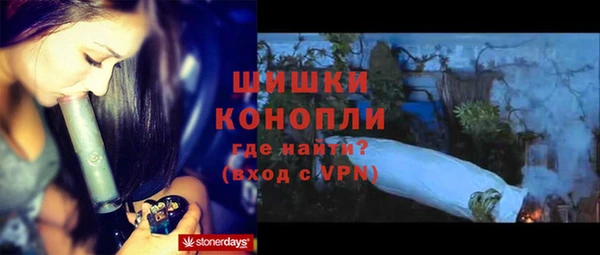 бошки Новодвинск