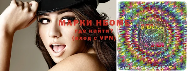 бошки Новодвинск
