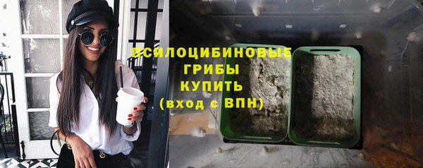 бошки Новодвинск