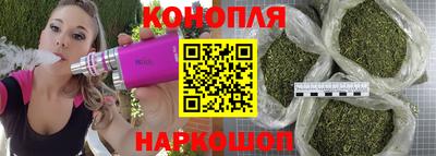 прущие грибы Донецк