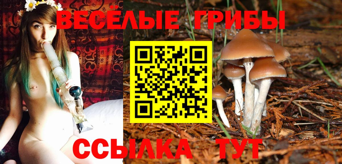 Псилоцибиновые грибы GOLDEN TEACHER Нижневартовск