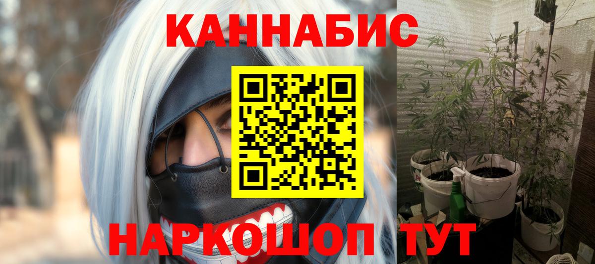 Бошки марихуана гибрид  Вход с VPN  Бошки марихуана семена  Нижневартовск  Марихуана тримм  Каннабис VHQ 